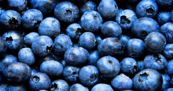 blueberries 1593965 1280