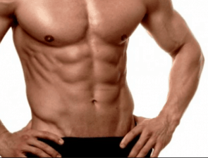 les muscles abdominaux