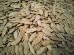 graines de courge