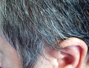 cheveux gris