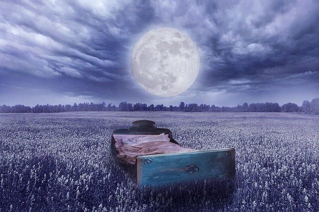 la réalité du rêve - un lit dans un pré, la pleine lune