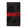  GigantX